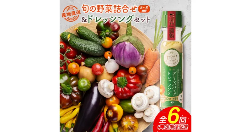 【ふるさと納税】産地直送！旬の野菜（5～8種類）＆ドレッシング セット 全6回 隔月定期便 2か月に1回お届け おまかせ 詰合せ 宮崎県新富町産