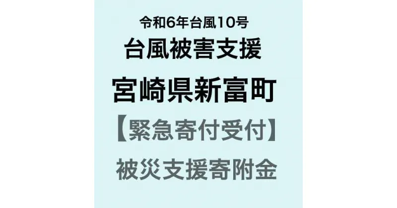 【ふるさと納税】【令和6年台風10号被害支援緊急寄附受付】宮崎県新富町災害応援寄附金（返礼品はありません）