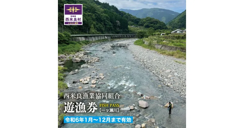 【ふるさと納税】西米良漁業協同組合　年間遊漁券(全魚種)　魚 川魚 遊漁 魚釣り 川釣り 釣り 鮎 アユ ヤマメ ニジマス 全魚種 アウトドア 九州 宮崎県 西米良村