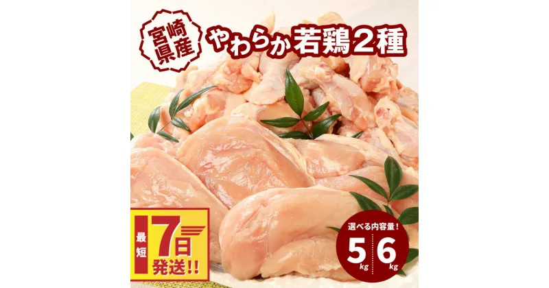 【ふるさと納税】【レビューキャンペーン対象】宮崎県産鶏 やわらか若鶏2種 5kg・ 6kg – 内容量を選べる 大容量 鶏むね肉 手羽元 国産若鶏 鶏肉セット ムネ肉 冷凍 胸肉 ヘルシー 唐揚げ たんぱく質 スピード配送便 送料無料 【宮崎県木城町】