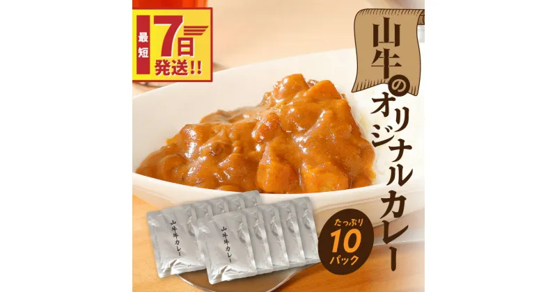 【ふるさと納税】【レビューキャンペーン対象】「山牛」のオリジナルカレー10パックセット – 1人前 約200g レトルトカレー ビーフカレー レトルト食品 おかず お惣菜 国産牛肉 黒毛和牛 簡易包装 パウチ 湯煎調理 常温保存 保存食 スピード配送便 送料無料【宮崎県木城町】