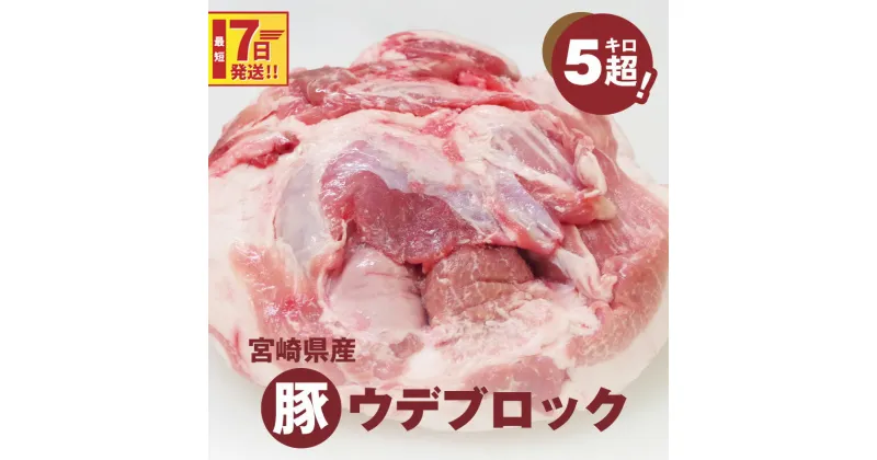 【ふるさと納税】【レビューキャンペーン対象】宮崎県産豚ウデブロック5kg超！ – 国産豚肉 ウデ肉 かたまり肉 5キロ 冷凍 大容量 ブロック肉 塊肉 大きい お好みにカットできる 届いたらご自宅でカット スピード配送便 送料無料 【宮崎県木城町】