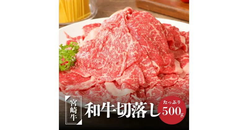 【ふるさと納税】宮崎牛和牛切り落とし500g – ブランド牛 国産牛肉 国産黒毛和牛 A4等級A5等級 綺麗なサシ とろけるような食感 和牛ブランド 切落とし 牛丼/肉じゃが 送料無料 K01_0009 【宮崎県木城町】