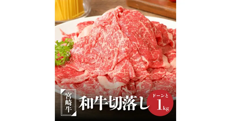 【ふるさと納税】宮崎牛和牛切り落とし1kg – ブランド牛 国産牛肉 国産黒毛和牛 A4等級A5等級 綺麗なサシ とろけるような食感 和牛ブランド 切落とし 牛丼/肉じゃが 送料無料 K01_0011 【宮崎県木城町】