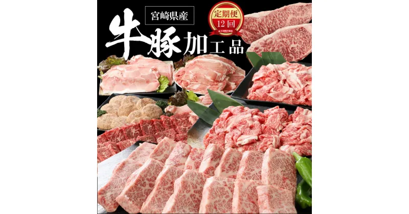 【ふるさと納税】【レビューキャンペーン対象】12か月定期便 宮崎県産 牛・豚・加工品定期便！ – 宮崎牛ステーキ 黒毛和牛焼き肉 豚肉切り落とし ハンバーグ 黒毛和牛カルビ焼肉 宮崎牛バラ肉すき焼き用A4以上 牛丼のもと オリジナルカレー 12ヶ月 送料無料【宮崎県木城町】