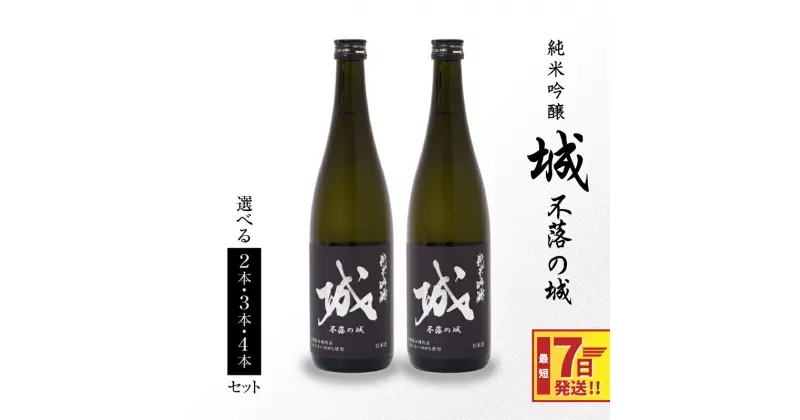 【ふるさと納税】【レビューキャンペーン対象】【7日以内に発送！】日本酒 純米吟醸「城 〜不落の城」辛口 – 2本/3本/4本 720ml 冷蔵配送 ご当地日本酒 令和6年産 新しき村友情都市コラボ お酒 アルコール分 15％ 特産品 地酒 スピード配送便 送料無料 【宮崎県木城町】