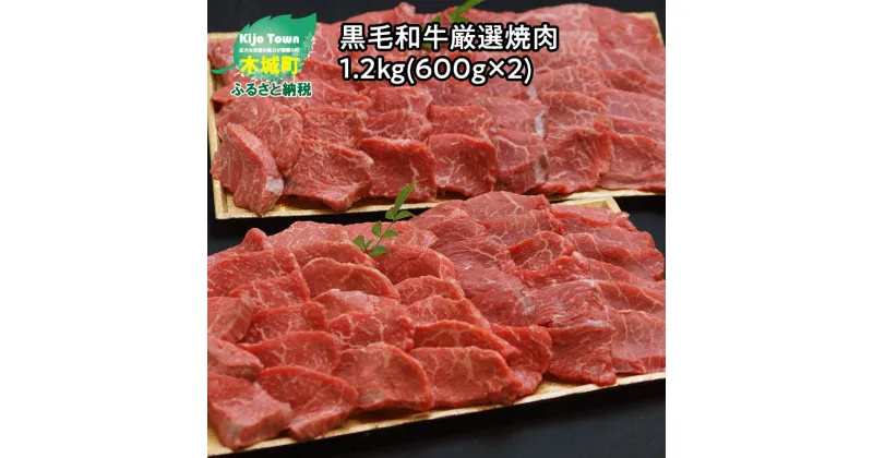 【ふるさと納税】木城ブランチ　有田白木八重牧場育ちの黒毛和牛厳選焼肉　1.2kg(600g×2) – 牛飼一筋 有田牛 牛肉 焼き肉用 赤身肉 エモー牛 あっさりとした黒毛和牛 赤身のうま味 冷凍 送料無料 【宮崎県木城町】