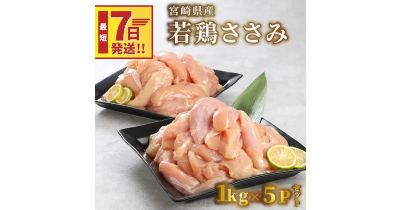 【ふるさと納税】【レビューキャンペーン対象】宮崎県産若鶏ささみ 1kg×5パック – 国産 鶏肉 ササミ肉 低カロリー/高たんぱく ヘルシー 健康志向 さっぱり 筋トレ 体づくり 真空パック 冷凍 脂身が苦手な方に サラダチキン/棒々鶏 スピード配送便 送料無料 【宮崎県木城町】