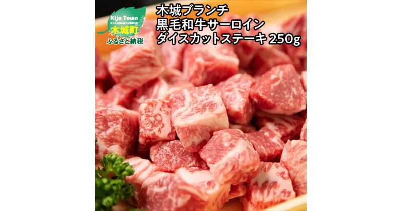 【ふるさと納税】木城ブランチ　有田白木八重牧場育ちの陸の王者黒毛和牛サーロインダイスカットステーキ　250g – 国産牛肉 サーロインステーキ サイコロカット サイコロステーキ 食べやすい ビーフステーキ 1人前 送料無料 【宮崎県木城町】