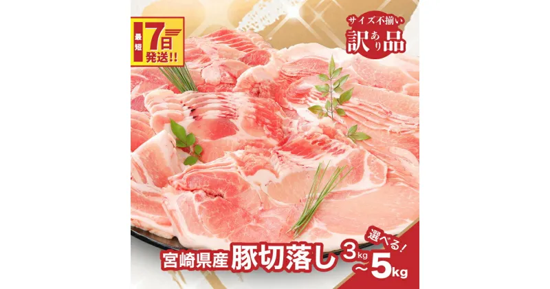 【ふるさと納税】【レビューキャンペーン対象】【訳あり】宮崎県産豚切落し 3kg/3.5kg/4kg/5kg 国産豚肉 切り落とし 形・大きさ サイズ不揃い 豚こま 冷凍 訳アリ 500gの小分け スピード配送便 生姜焼き 大容量 家庭料理 送料無料 【宮崎県木城町】