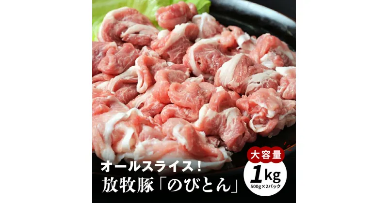 【ふるさと納税】放牧豚「のびとん」スライスセット！500g×2パック – 国産豚肉 切り落とし 1kg 安心・安全 放牧 甘い トレイ包装 スライス肉 ぶた 冷凍 美味しい お肉 宮崎県産 サラッとした脂 ストレスフリー 切落とし 送料無料 【宮崎県木城町】