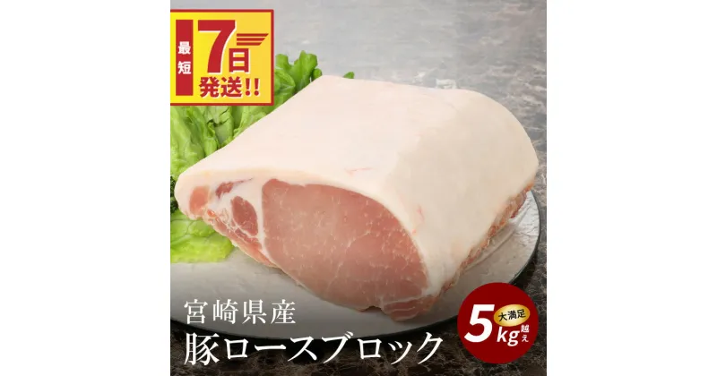 【ふるさと納税】【レビューキャンペーン対象】宮崎県産豚ロースブロック 5kg越え – 国産豚肉 トンテキ/豚の角煮/トンカツ/ポークソテー ブロック肉 塊肉 5キロ かたまり肉 ロース肉 小分け キメが細かく柔らかな肉質 赤身 脂身 スピード配送便 送料無料 【宮崎県木城町】