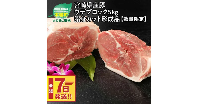 【ふるさと納税】【レビューキャンペーン対象】宮崎県産豚ウデブロック5kg！脂身カット形成品【数量限定】 – 国産豚肉 豚ウデ肉 5キロ ブロック肉 かたまり肉 スピード配送便 送料無料【宮崎県木城町】