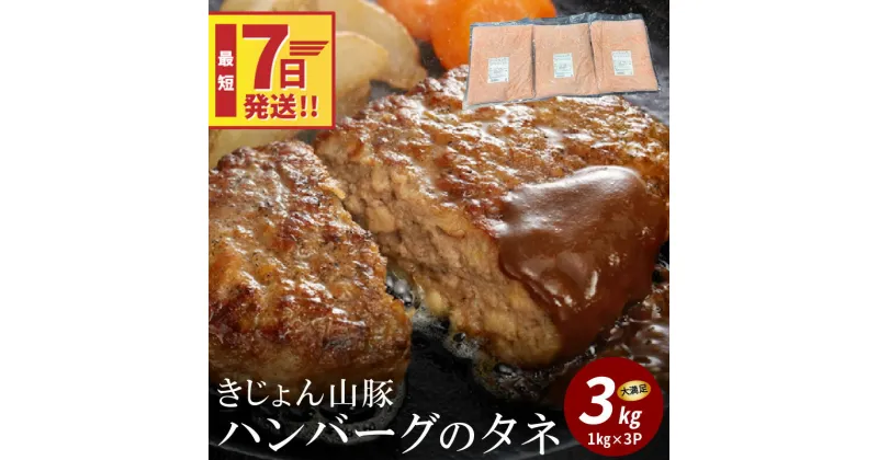 【ふるさと納税】【レビューキャンペーン対象】きじょん山豚 ハンバーグのタネ 3kg – 半調理済み食品 アレンジ ハンバーグ/餃子/ロールキャベツ ポークハンバーグ 豚肉 みやざきサンミート季穣 ブランド豚 スピード配送便 送料無料【宮崎県木城町】