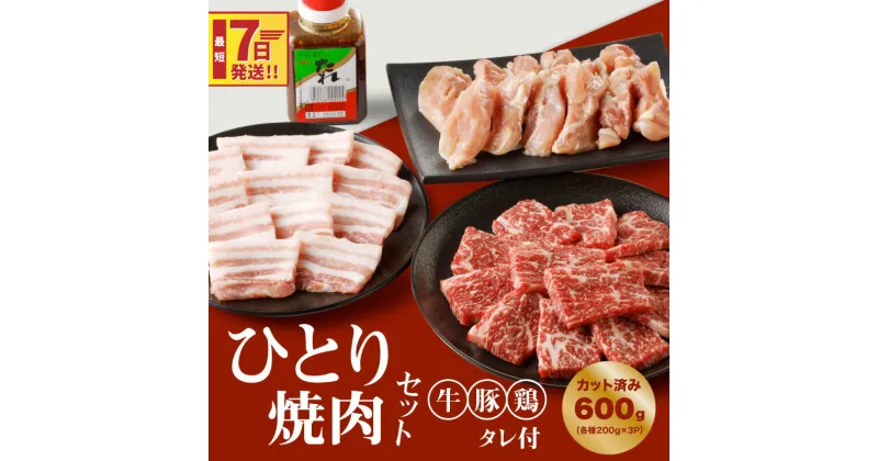 【ふるさと納税】【レビューキャンペーン対象】一人焼肉セット(牛・豚・鶏)【タレ付き】計600gカット済み – 焼き肉 食べ比べセット バーベキュー 牛肉 豚肉 鶏肉 小分け 詰め合わせ 牛豚鶏 冷凍 牛カルビ 豚バラ肉 鶏もも肉 スピード配送便 送料無料 【宮崎県木城町】