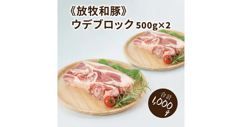 【ふるさと納税】≪放牧和豚≫ウデブロック 500g×2 【合計1kg】 – 豚肉 ウデ ブロック かたまり肉 小分け 豚ブロック 豚肉ブロック うで 豚ウデブロック ウデ肉 冷凍 国産豚肉 パイオニアポーク ブロック肉 こだわり 送料無料 【宮崎県木城町】