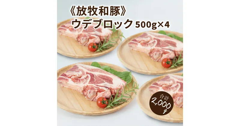 【ふるさと納税】≪放牧和豚≫ウデブロック500g×4 【合計2kg】 – 豚肉 ウデ ブロック かたまり肉 小分け 豚ブロック 豚肉ブロック うで 豚ウデブロック ウデ肉 冷凍 国産豚肉 パイオニアポーク ブロック肉 こだわり 送料無料 【宮崎県木城町】