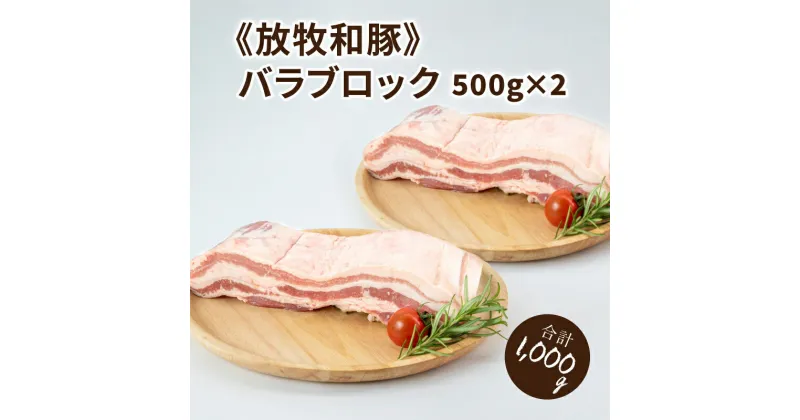 【ふるさと納税】≪放牧和豚≫バラブロック 500g×2 【合計1kg】 – 国産豚肉 豚バラ 冷凍 バラ肉 ばら 三枚肉 冷凍 パイオニアポーク 豚ブロック ブロック肉 ブロック 塊肉 かたまり肉 豚肉かたまり 豚肉 豚 こだわり 送料無料 【宮崎県木城町】