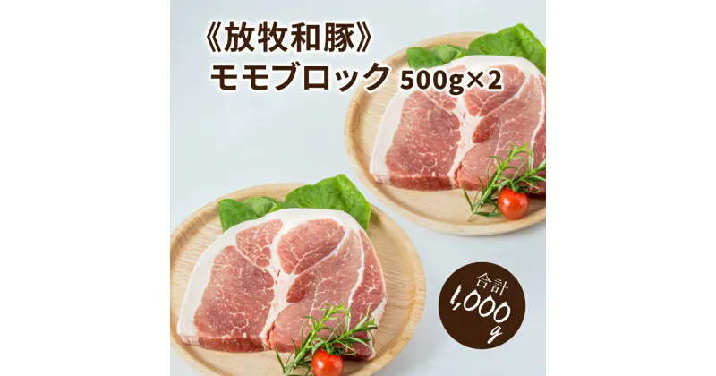 【ふるさと納税】≪放牧和豚≫モモ ブロック500g×2【合計1kg】 – 豚肉 豚 豚ブロック ブロック肉 ブロック 塊肉 かたまり肉 豚肉かたまり 真空パック 総重量 1kg 豚もも肉 豚モモ こだわり 送料無料 【宮崎県木城町】