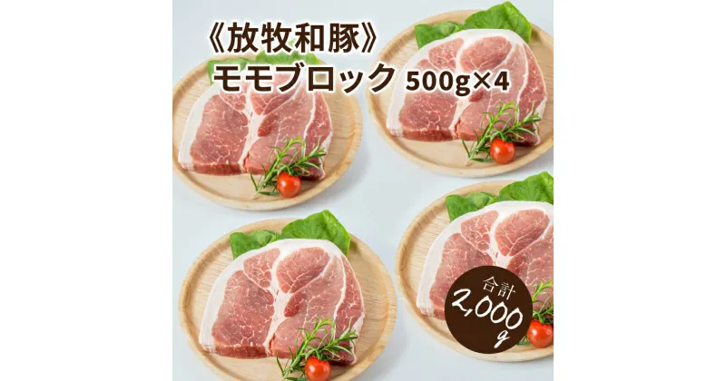 【ふるさと納税】≪放牧和豚≫モモブロック 500g×4 【合計2kg】 – 豚肉 豚 豚ブロック ブロック肉 ブロック 塊肉 かたまり肉 豚肉かたまり 真空パック 総重量 2kg 豚もも肉 豚モモ こだわり 送料無料 【宮崎県木城町】