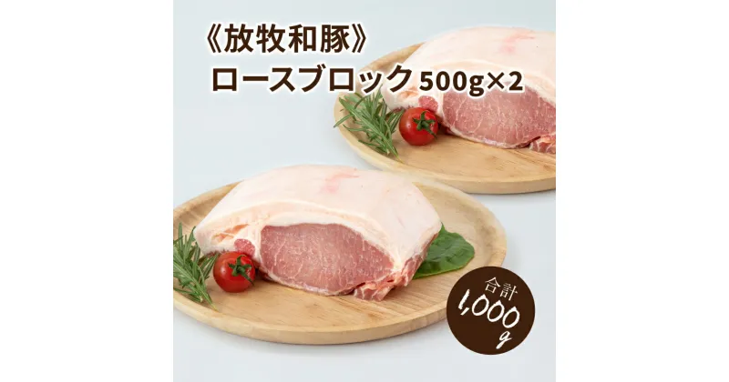 【ふるさと納税】≪放牧和豚≫ロースブロック 500g×2 【合計1kg】 – 豚肉 豚 豚ブロック ブロック肉 ブロック 塊肉 かたまり肉 豚肉かたまり 豚ロース ロース肉 Pioneer Pork(パイオニアポーク) こだわり 送料無料 【宮崎県木城町】