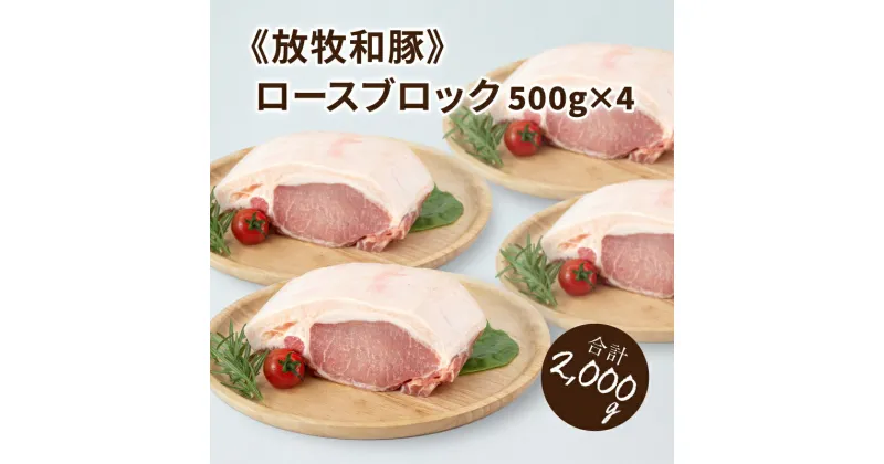 【ふるさと納税】≪放牧和豚≫ロースブロック 500g×4 【合計2kg】 – 国産 豚肉 豚 豚ブロック ブロック肉 ブロック 塊肉 かたまり肉 豚肉かたまり 豚ロース ロース肉 Pioneer Pork(パイオニアポーク) 小分け こだわり 送料無料 【宮崎県木城町】