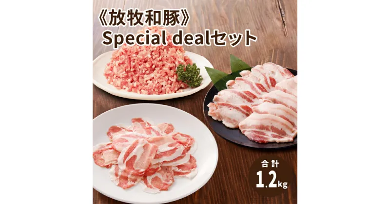 【ふるさと納税】≪放牧和豚≫Special dealセット 【合計1,200g】 – 国産 豚肉 豚 真空 小分け 冷凍 豚ロース ロース肉 しゃぶしゃぶ 薄霧スライス バラ肉 豚バラ肉 豚ばら 焼肉用 挽き肉 挽肉 ひき肉 ミンチ 豚ミンチ 総重量 1.2kg スペシャル 送料無料 【宮崎県木城町】