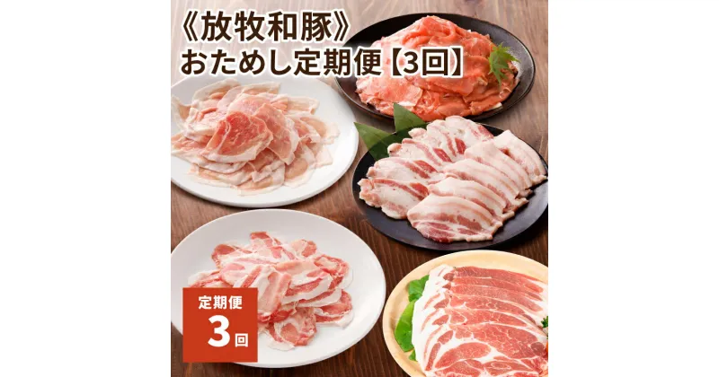 【ふるさと納税】≪放牧和豚≫おためし定期便【3回】 – 国産 豚肉 豚 冷凍 小分け 真空トレイ 3ヶ月定期便 ブランド豚 定期便 肉 詰め合わせ 毎月 お楽しみ 定期 お試し パイオニアポーク Pioneer Pork 薄霧スライス こま切れ 焼肉 送料無料【宮崎県木城町】