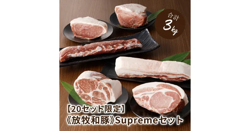 【ふるさと納税】≪放牧和豚≫Supremeセット【合計約3kg】- 豚肉 豚ヒレブロック 豚ロースブロック 豚肩ロースブロック 豚バラブロック 豚モモブロック 豚ウデブロック 6種類の豚肉ブロック かたまり Pioneer Pork(パイオニアポーク) こだわり 送料無料 【宮崎県木城町】