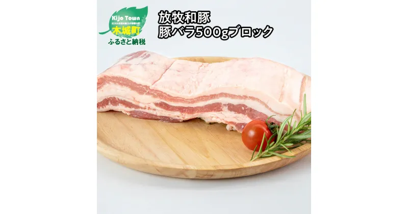 【ふるさと納税】≪放牧和豚≫ バラブロック 500g – 国産 豚肉 豚 豚ブロック ブロック肉 塊肉 かたまり肉 豚肉かたまり バラ肉 豚バラ肉 豚ばら 真空パック Pioneer Pork パイオニアポーク バーベキュー/アウトドア/キャンプ こだわり 送料無料 【宮崎県木城町】