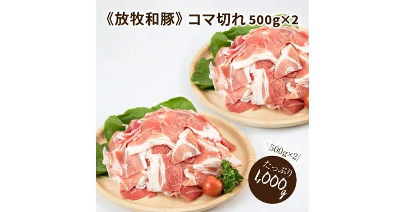 【ふるさと納税】【レビューキャンペーン対象】≪放牧和豚≫ こま切れ 500g×2 【合計1kg】 – Pioneer Pork(パイオニアポーク) 家庭料理に 豚汁や豚丼に使いやすい小間切れ 送料無料【宮崎県木城町】