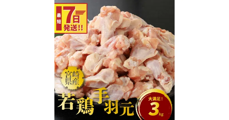 【ふるさと納税】【レビューキャンペーン対象】宮崎県産若鶏手羽元3kg – 冷凍 唐揚げ/グリルチキン/さっぱり煮 たんぱく質 鶏肉 国産 宮崎県産 真空パック スピード配送便 送料無料 【宮崎県木城町】