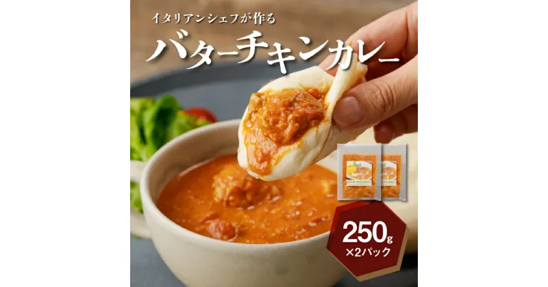 【ふるさと納税】イタリアンシェフが作るバターチキンカレーソース2袋（250g×2袋） – 冷凍 カレー レンジ 宮崎県産 鶏肉 地産地消 キジョリーナ バターチキンカレー まろやか ソース 湯煎調理 2食分 1人前×2 送料無料 【宮崎県木城町】