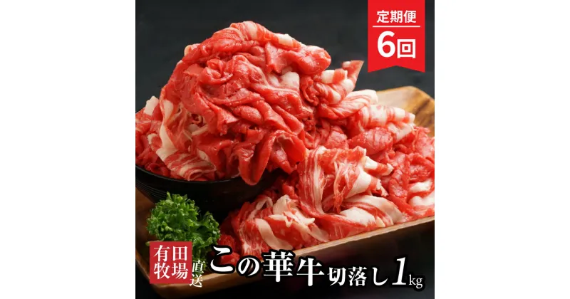 【ふるさと納税】定期便 6回 有田牧場直送 この華牛切落し 1kg 切り落とし 赤身が美味しい EMO牛(エモー牛) 牛肉 有田牧畜産業オリジナルブランド牛 霜降り肉も混在する切り落とし 冷凍 ヘルシー 送料無料【宮崎県木城町】