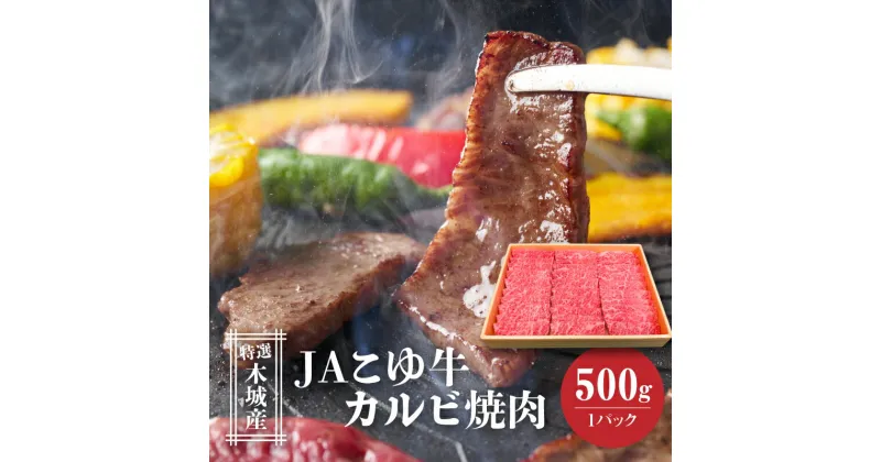 【ふるさと納税】JAこゆ牛 特選木城産 カルビ500g 焼肉用 – カルビ肉 焼き肉用カット 1パック 牛肉 冷凍配送 国産黒毛和牛焼肉 ローカルブランド JAこゆ牛 希少 A4等級/A5等級 霜降り 宮崎県産 送料無料 【宮崎県木城町】