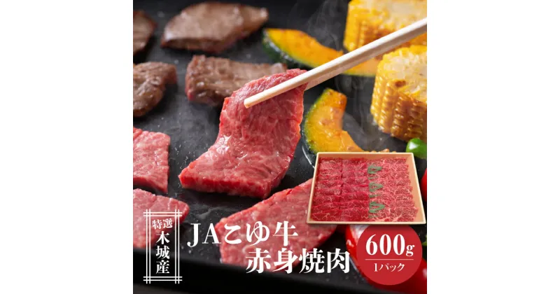 【ふるさと納税】JAこゆ牛 特選木城産 赤身(モモ・ウデ)600g 焼肉用 – 赤身肉 焼き肉用 カット済み 脂身 少ない 部位 1パック お肉 牛肉 冷凍配送 国産黒毛和牛 ローカルブランド JAこゆ牛 希少 A4等級/A5等級 ウデ肉 モモ肉 送料無料 【宮崎県木城町】