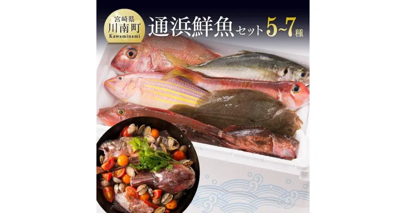 【ふるさと納税】 鮮度抜群！漁協直送！人気の通浜鮮魚セット H1702 【鮮魚 魚介 セット 新鮮 漁協直送 刺身 海の幸 魚介類 】