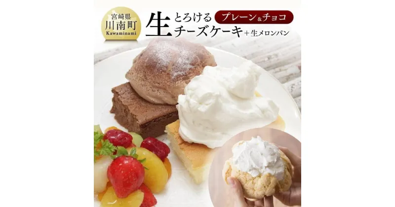 【ふるさと納税】 人気 チーズケーキ とろける生チーズケーキ (プレーン＆チョコ) 新食感 ケーキ スイーツ 生クリーム 生メロンパン付 ナチュラルチーズ使用 押川春月堂本店 送料無料 H2702