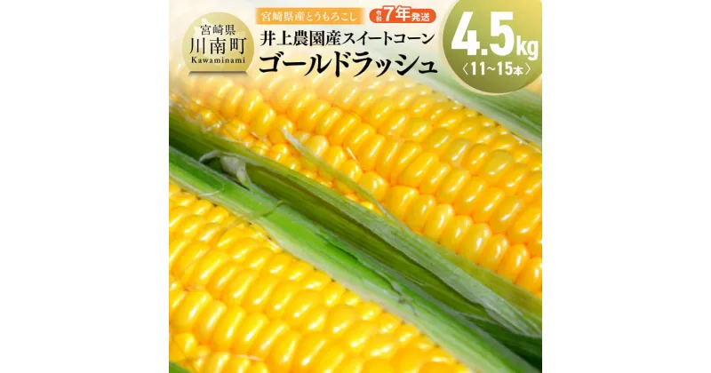 【ふるさと納税】【令和7年発送】宮崎県産とうもろこし　井上農園産スイートコーン「ゴールドラッシュ」4.5kg – トウモロコシ スイートコーン とうきび 新鮮 九州産 宮崎県産 川南町産 朝どれ 農家直送 送料無料 D03901