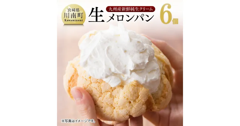 【ふるさと納税】『押川春月堂本店』生メロンパン6個【スイーツ おやつ パン 大人気 生クリーム 川南町】H2706