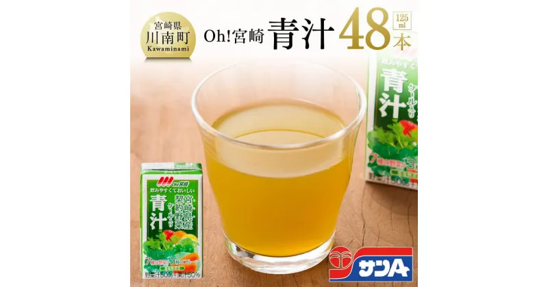 【ふるさと納税】 青汁 サンA 125ml 48本 セット 飲料 宮崎県産ケール 緑黄色野菜成分 食塩 砂糖を 不使用 九州 宮崎県 川南町 送料無料 F3013