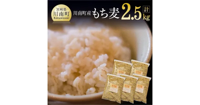 【ふるさと納税】 令和5年産 もち麦 2.5kg（500g×5袋）【国産 麦 もち麦 食物繊維】《数量限定》 宮崎県産 川南町産 もち麦 送料無料＼食物繊維が豊富／ E5401