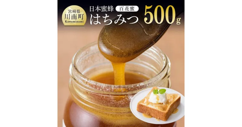 【ふるさと納税】 純粋はちみつ(百花密)　500g 日本蜜蜂 コーヒーに入れる お菓子作り そのままでも 九州 宮崎県 おうち時間 おうちごはん ハチミツ 送料無料 川南町 H5702