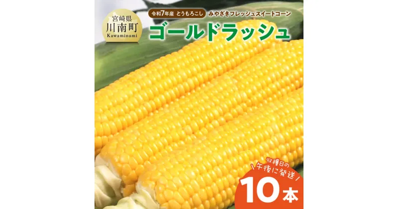 【ふるさと納税】みやざきフレッシュスイートコーン 「ゴールドラッシュ」10本 – トウモロコシ 新鮮 朝どれ 農家直送 産地直送 JA 真空予冷 期間限定 先行予約 宮崎県 川南町 送料無料 D03806