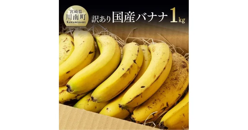 【ふるさと納税】 【訳あり】国産バナナ1kg　ご自宅用や皮ごとスムージーにもオススメ！【国産 バナナ 無農薬 フルーツ 果物 デザート 朝食 スムージー 訳あり バナナ】F5802