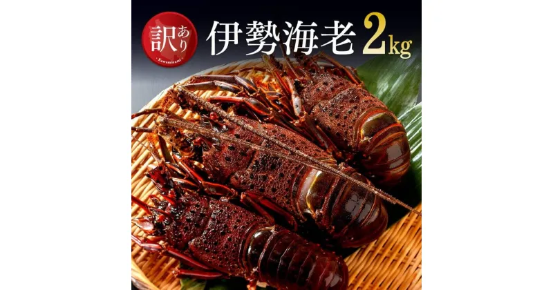 【ふるさと納税】 【訳あり】冷凍伊勢海老（3〜10尾）計2kg – 魚介 伊勢海老 イセエビ 訳あり 宮崎県 川南町 送料無料 D01707