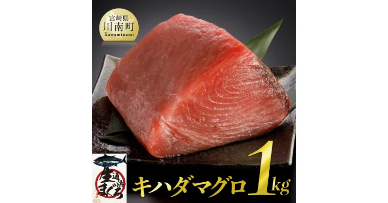 【ふるさと納税】 漁協直送！キハダマグロブロック（生）1kg　※冷蔵でお届け※ H170801