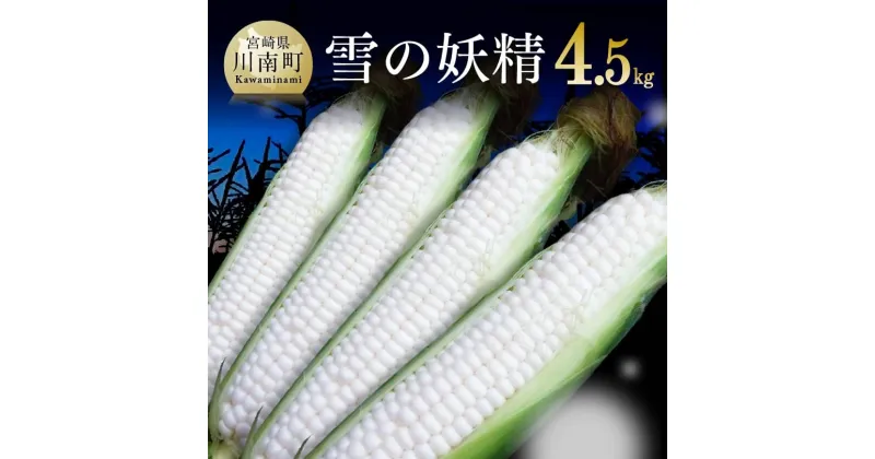 【ふるさと納税】【令和7年発送】宮崎県産とうもろこし　大山さんちのホワイトコーン「雪の妖精」4.5kg – 先行予約 数量限定 期間限定 季節限定 送料無料 とうもろこし 大山農園 スイートコーン D07102