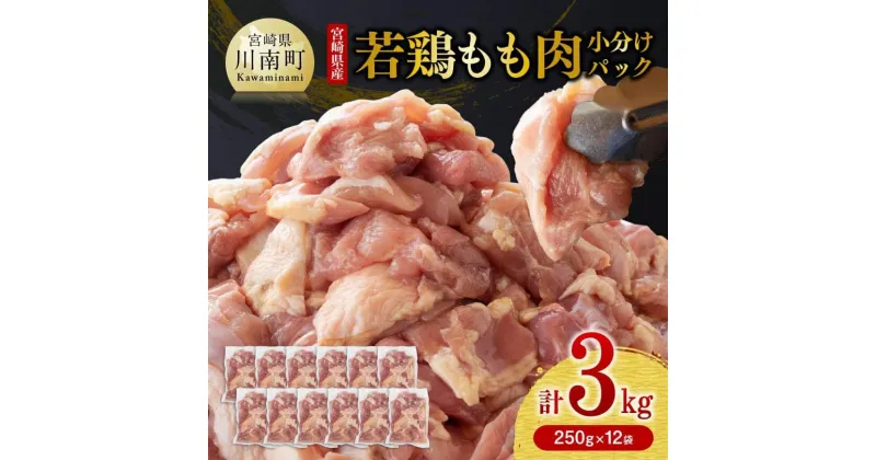 【ふるさと納税】 選べる発送月 宮崎県産鶏肉 若鶏 もも肉 3kg (250g×12袋) 肉 鶏 鶏肉 国産 モモ とりもも 若鳥 九州産 鳥 唐揚げ 小分け 使いやすい 便利 F0904