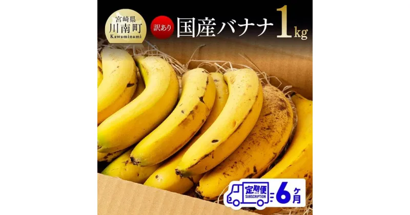 【ふるさと納税】【訳あり】国産バナナ1kg　6ヶ月定期便 ご自宅用や皮ごとスムージーにもオススメ！ F5804 送料無料